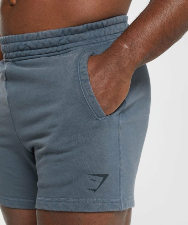 Power Washed 5" Shorts Titanium Blue - immagine 5