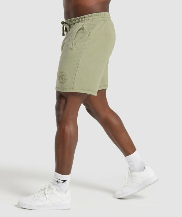 Premium Legacy Shorts Natural Sage Green - immagine 3